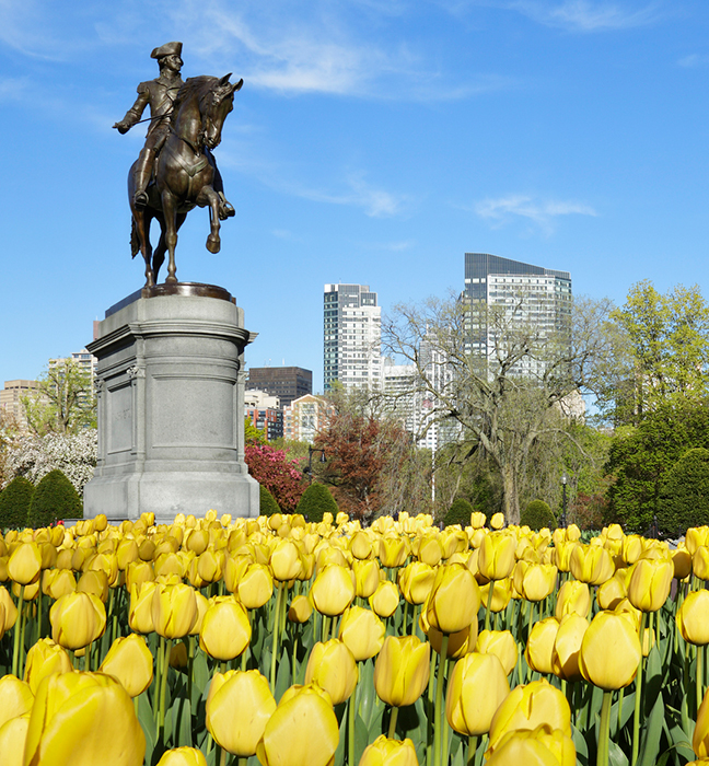 Image of the George Washington statue in boston. c. 1859 in the public garden