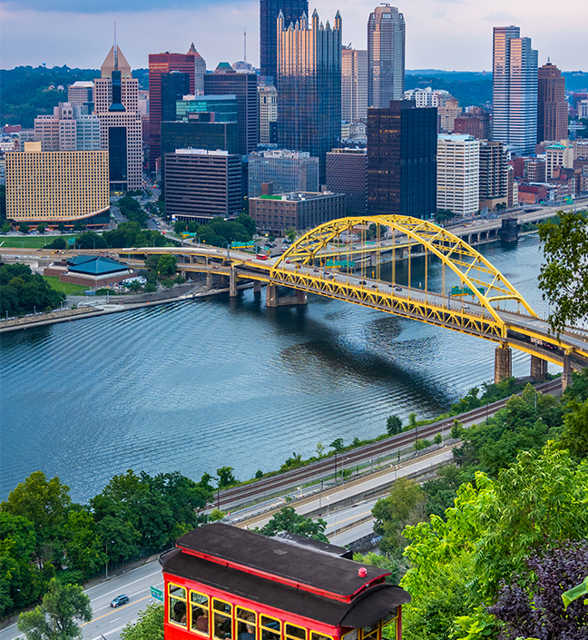Image of the Tampa Skyline with a Palm Tree.