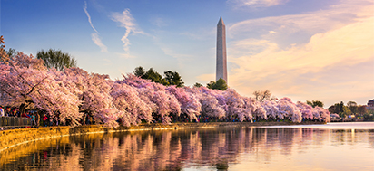 Image of the Washington D.C. skyline